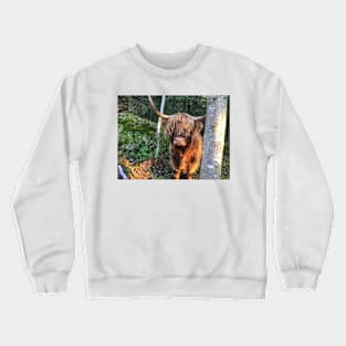 Scottish Highland Cattle Cow 2136 Crewneck Sweatshirt